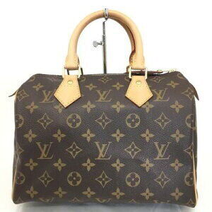 LOUIS VUITTON Speedy Handbag Boston Monogram
